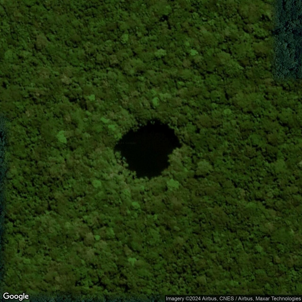 The weird dark spot in Fiji’s forest 