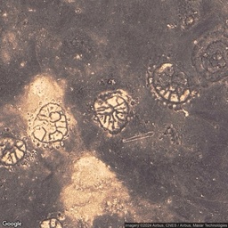 Stone wheels Azraq - Weird Desert Patterns