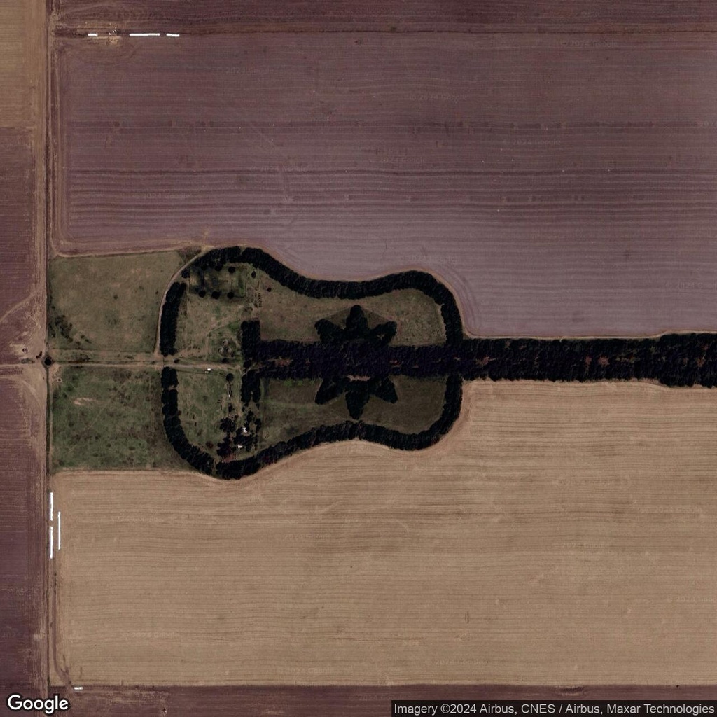 Argentina's Guitar Forest