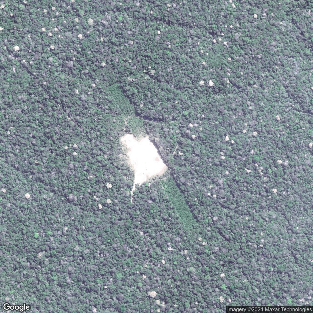 Hidden Overgrown Runways in the Amazon Rainforest zoom 1