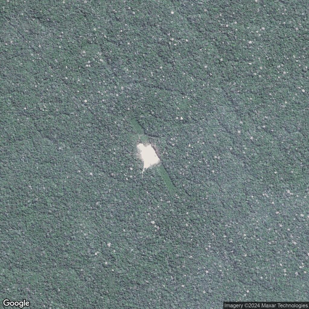 Hidden Overgrown Runways in the Amazon Rainforest zoom 2