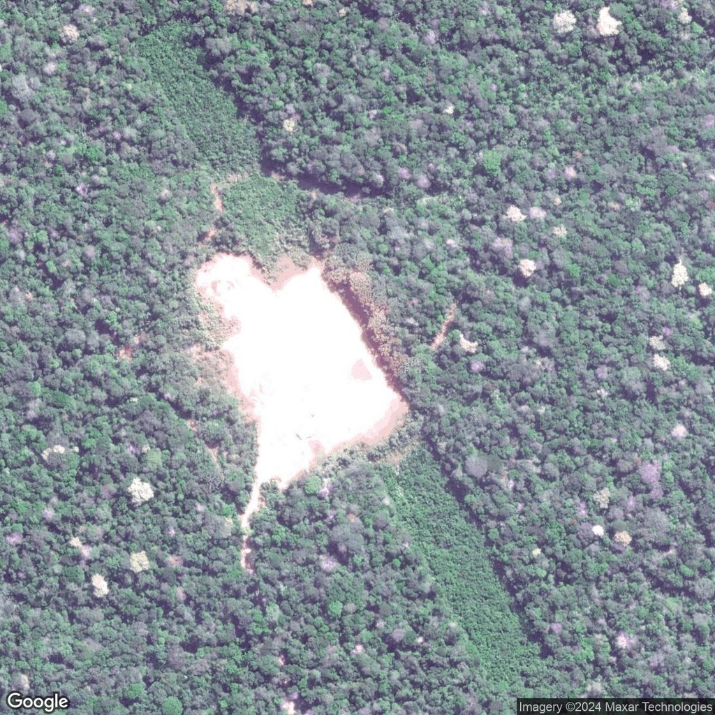 Hidden Overgrown Runways in the Amazon Rainforest